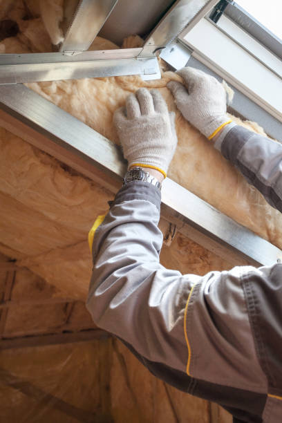 Best Insulation Removal  in Woodville, FL