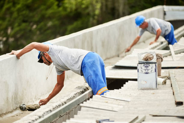 Best Insulation Removal  in Woodville, FL