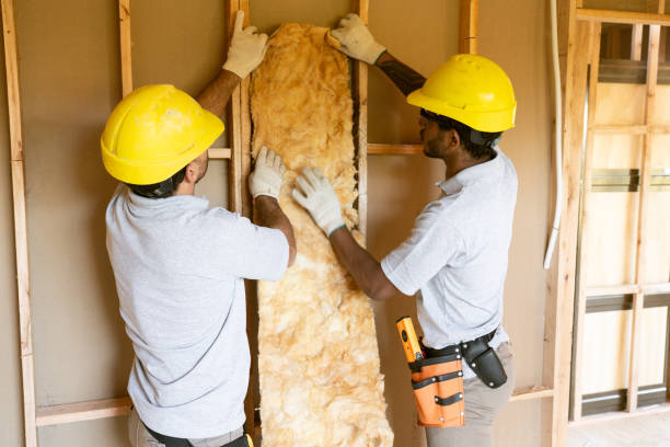 Insulation Inspection Services in Woodville, FL