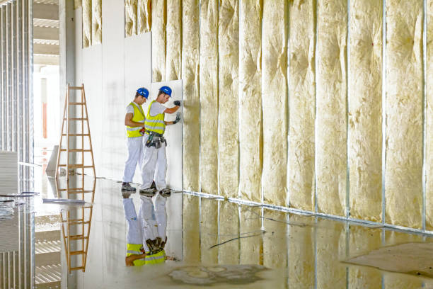 Best Professional Insulation Contractor  in Woodville, FL